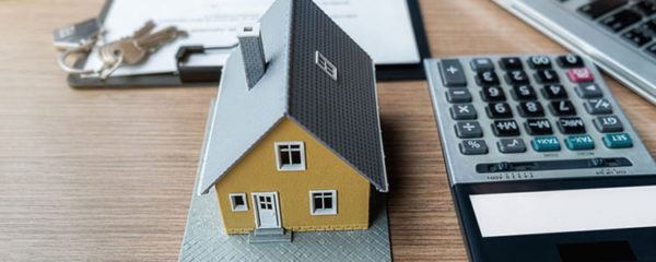 logement neuf