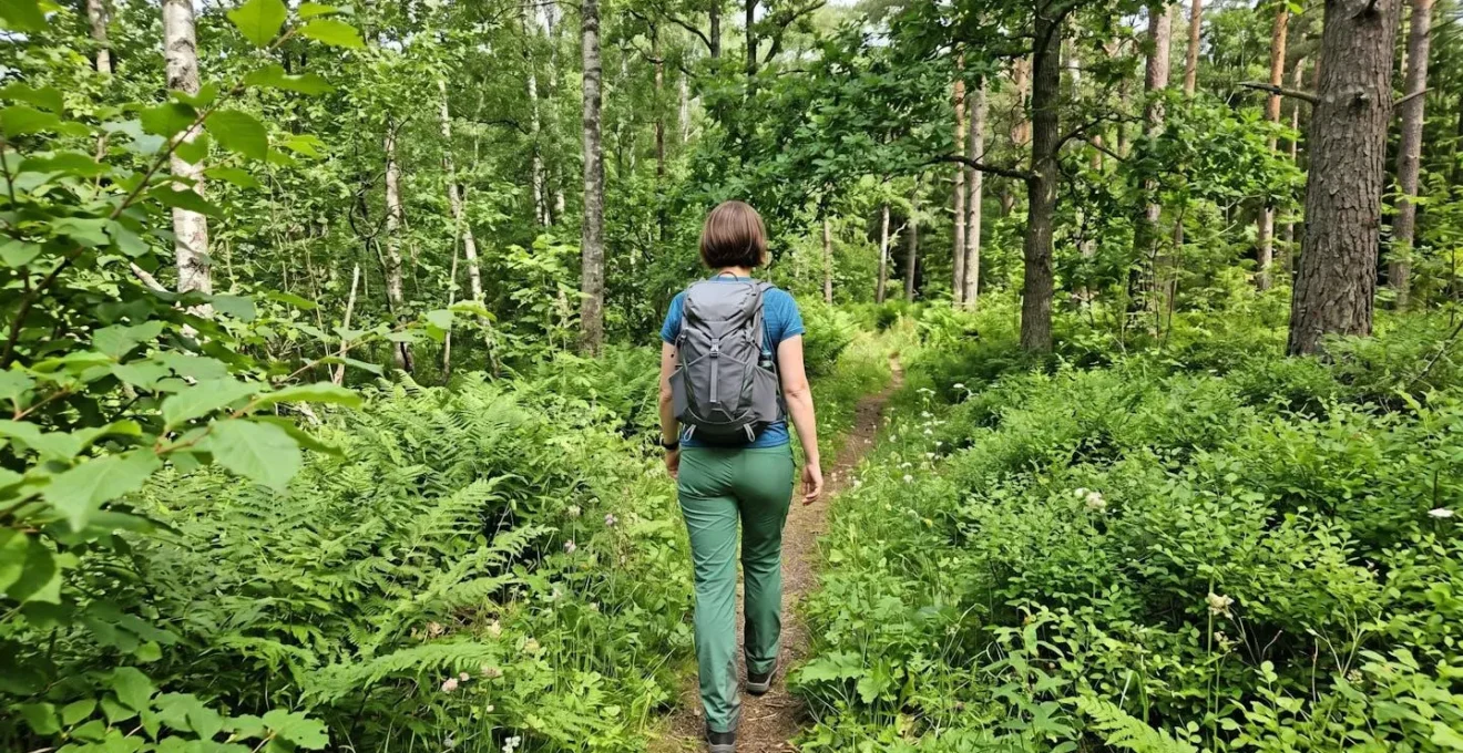 Personne en veste technique de dos marchant à travers une végétation estivale dense en forêt, vue par-dessus l'épaule avec lumière naturelle