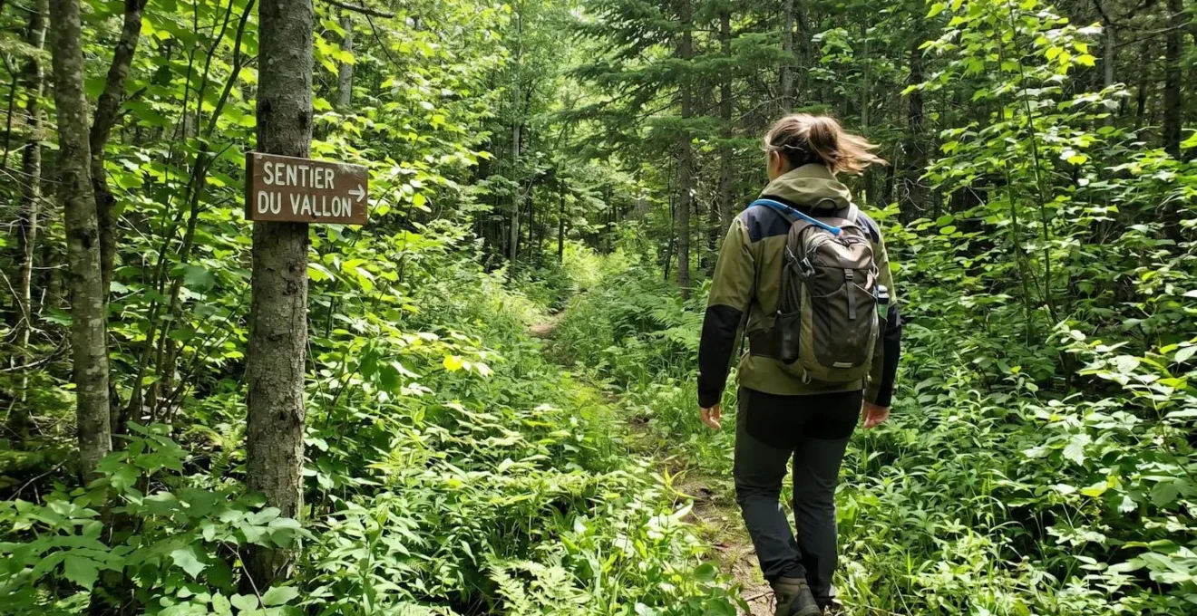 Personne en veste technique de dos marchant à travers une végétation estivale dense en forêt, vue par-dessus l'épaule avec lumière naturelle