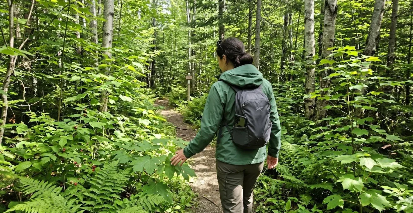 Personne en veste technique de dos marchant à travers une végétation estivale dense en forêt, vue par-dessus l'épaule avec lumière naturelle